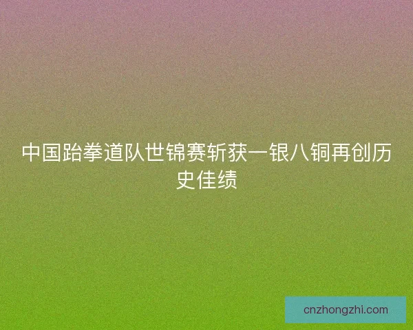 中国跆拳道队世锦赛斩获一银八铜再创历史佳绩